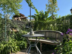 Mehr über den Artikel erfahren Wintervorbereitungen für Ihren Garten
